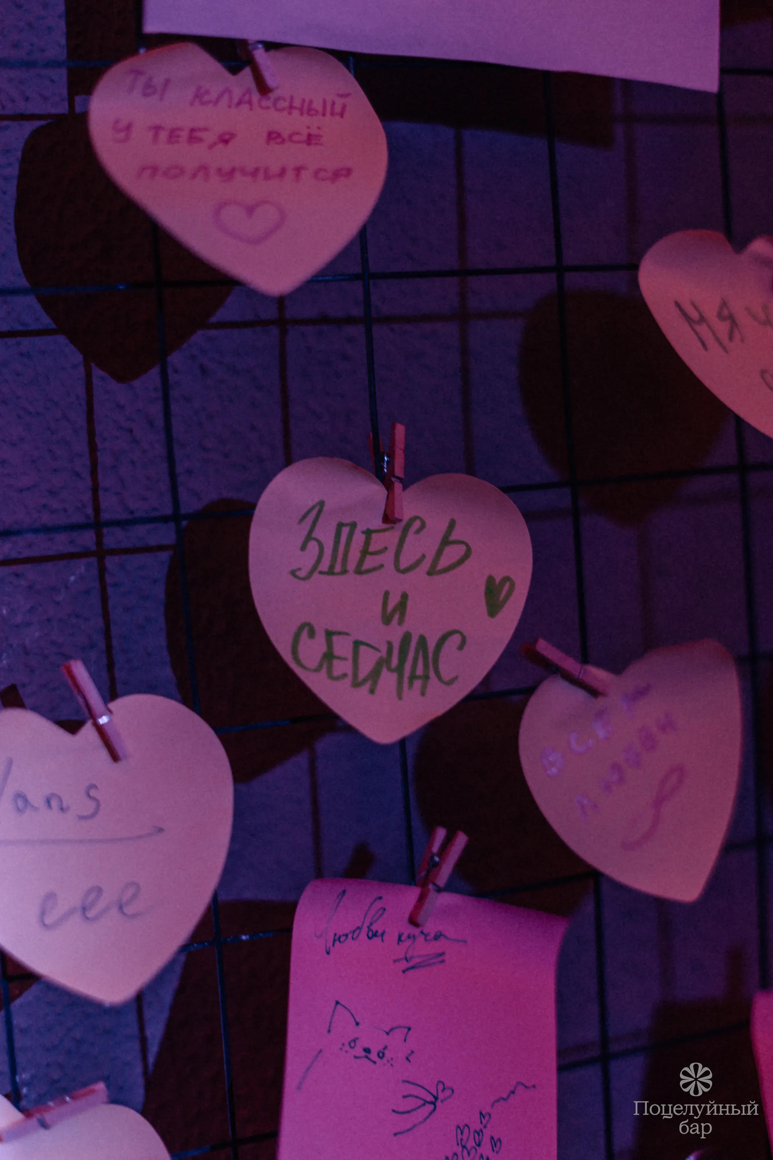 Кисскотека - 15 июля